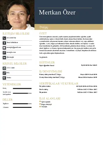 Dalgıç CV Örnekleri cv indir